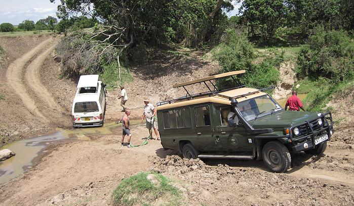 Mara Safari