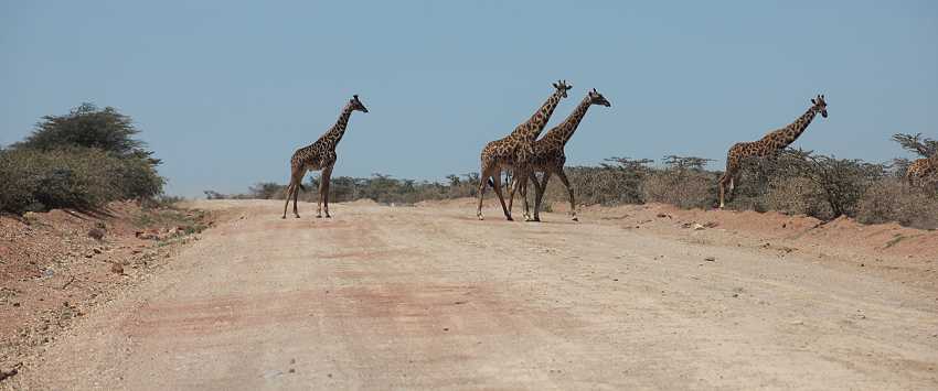 auf dem Weg in die Masai Mara