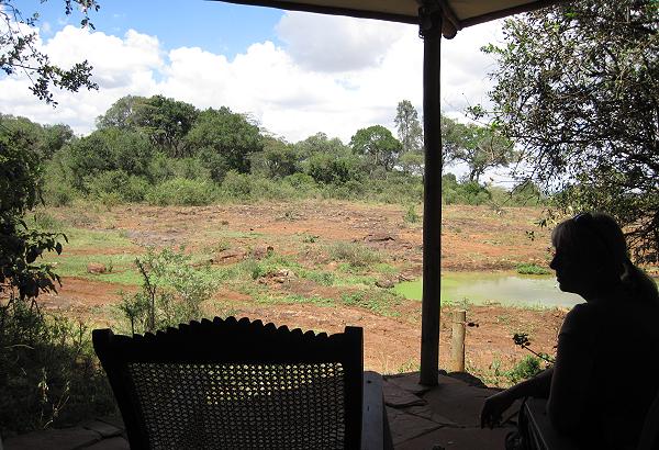 David Sheldrick Wildlife Trust