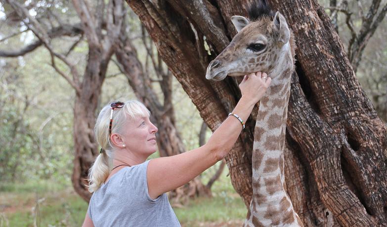 Kili, Masai Giraffe