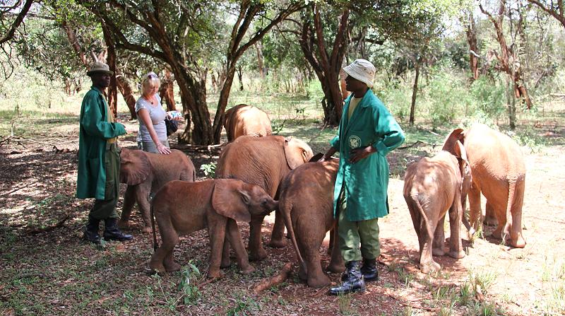 David Sheldrick Wildlife Trust