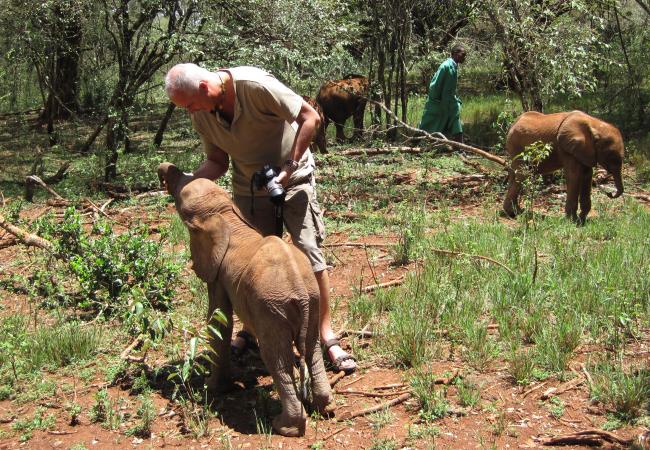 David Sheldrick Wildlife Trust