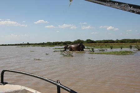 Bootsafari, Selous