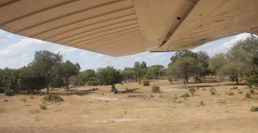 Flugsafari, Cessna U206G Stationair, Selous