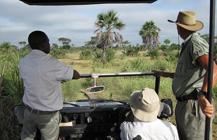 Wildhund Safari im Selous