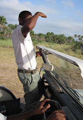 Wildhund Safari im Selous