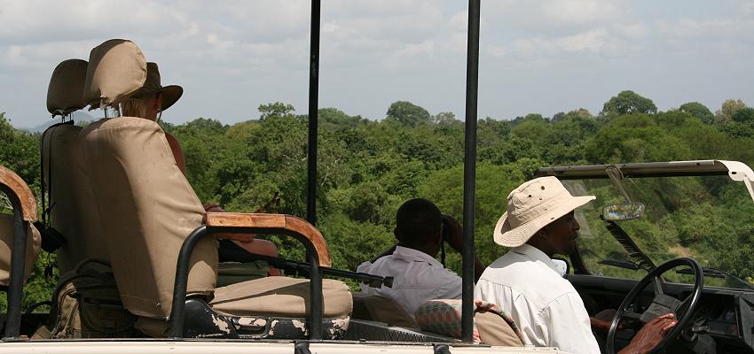 Wild Dog Safari, Selous