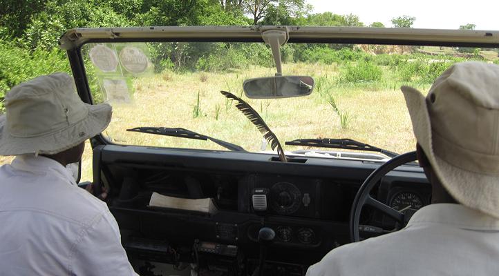 Wild Dog Safari, Selous