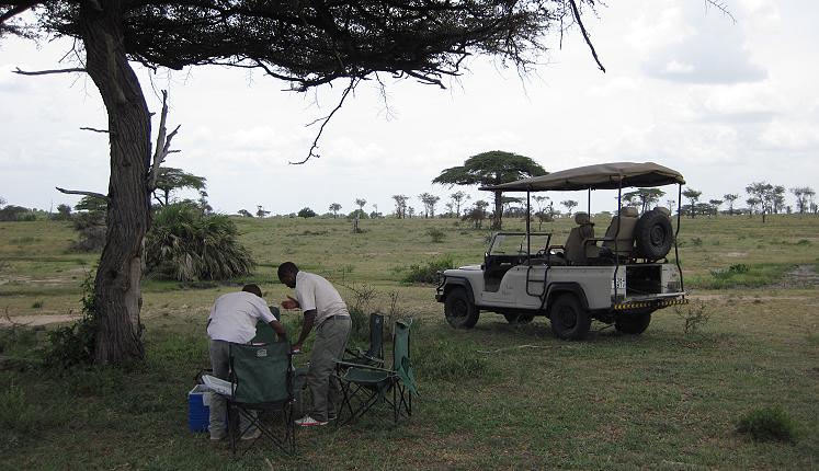 Bush lunch im Selous
