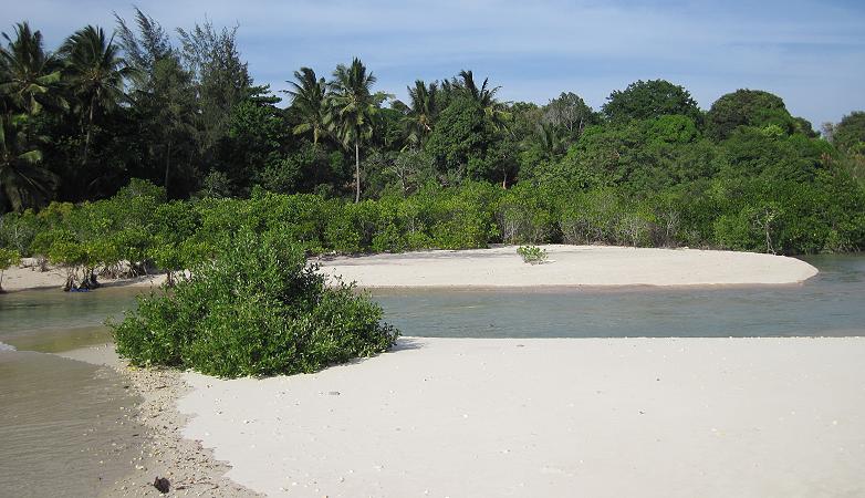 Mangrove Lodge - Chuni Palace Ruins, Zanzibar
