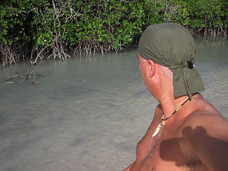 Mangrove Lodge - Chuni Palace Ruins, Zanzibar
