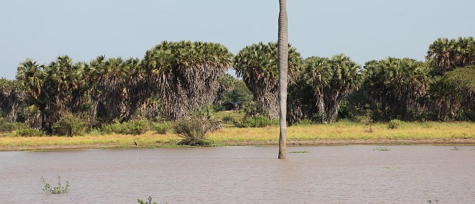 Lake Manze Camp, Selous