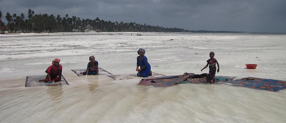 Pwani - Mchangani Beach, Zanzibar
