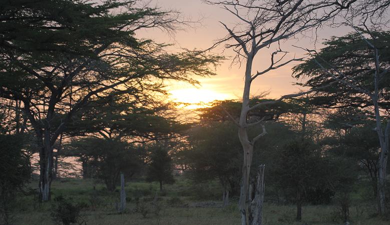 Sonnenaufgang, Selous