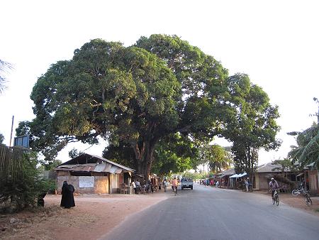 Zanzibar - Sansibar