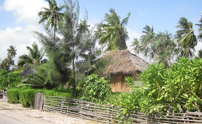 Zanzibar - Sansibar
