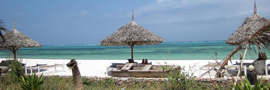 Waikiki Resort and Restaurant, Sansibar