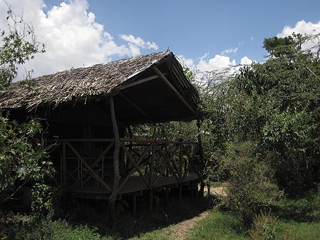 Crocodile Camp - Talek, Masai Mara