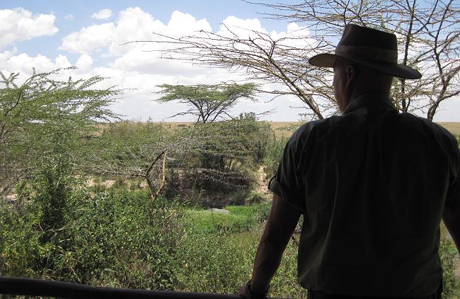 Crocodile Camp - Talek, Masai Mara