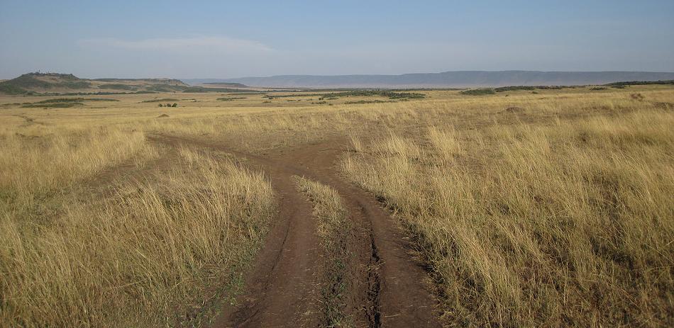 Masai Mara September 2015