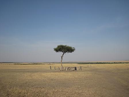 Masai Mara September 2015