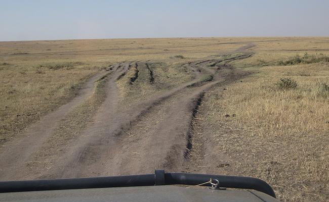 Masai Mara September 2015
