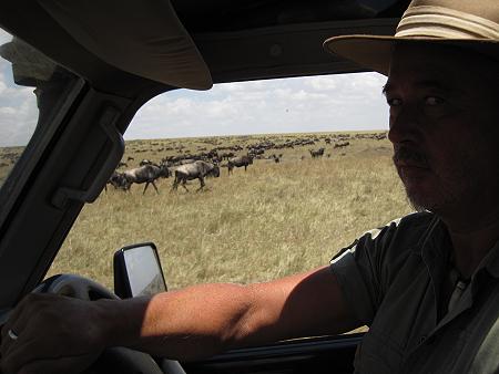 wildebeest migration 2015 - Mara