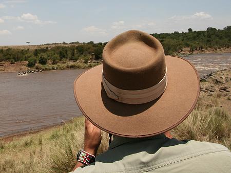 Wildebeest Migration, Masai Mara 2015