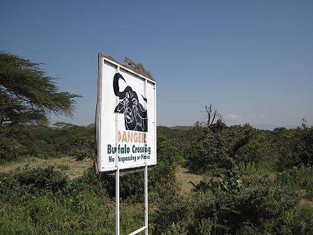 Lake Naivasha