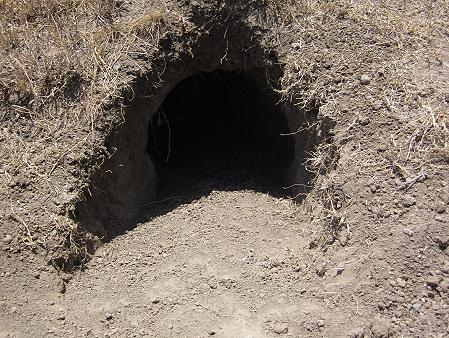 Ol Pejeta - Sweetwaters
