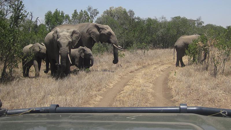 Ol Pejeta - Sweetwaters