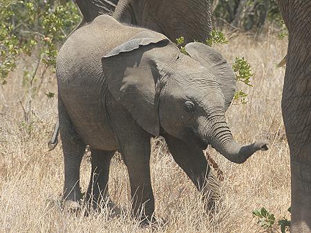 Ol Pejeta - Sweetwaters