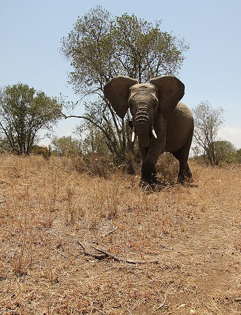 Ol Pejeta - Sweetwaters