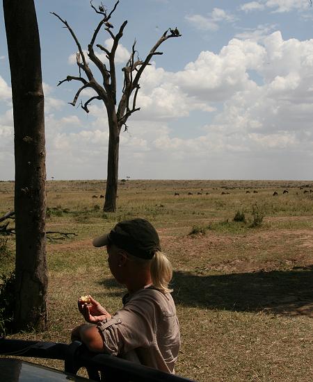 Bush Lunch, Masai Mara
