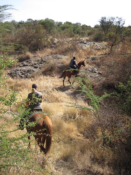 Sandai Farm