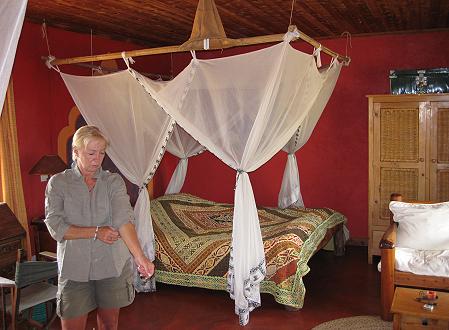 Sandai Farm - Mwega - Laikipia