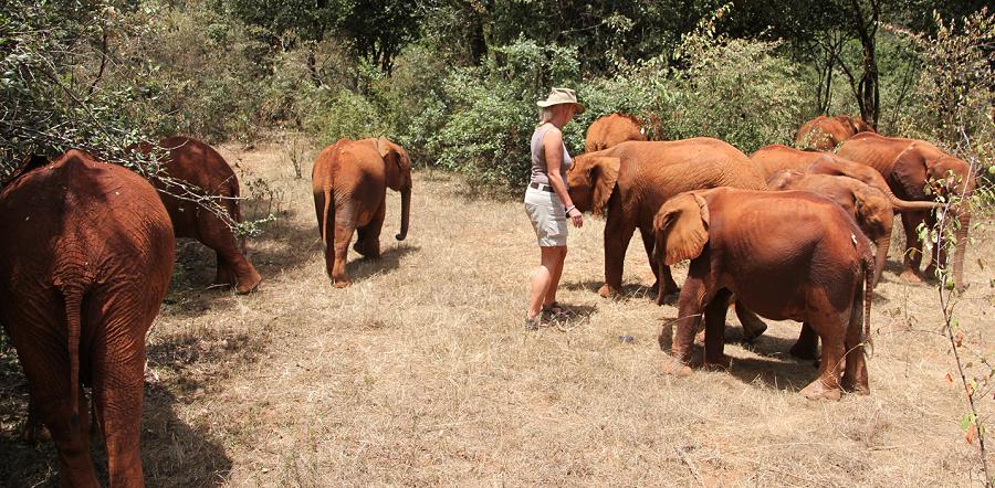 Jörg und Petra Reinecke beim David Sheldrick Wildlife Trust