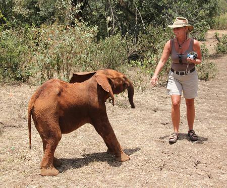Jörg und Petra Reinecke beim David Sheldrick Wildlife Trust