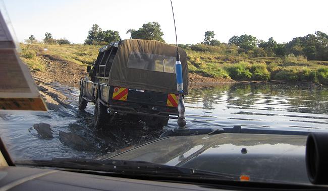 Smelling Crossing, Masai Mara