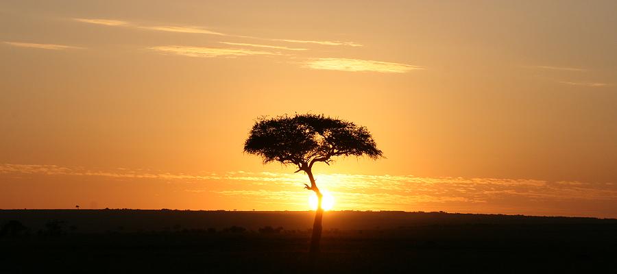 Sonnenaufgang Masai Mara