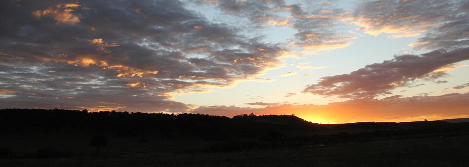 Sonnenaufgang Masai Mara