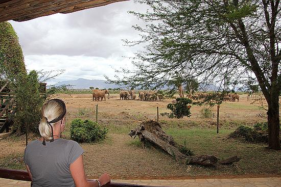 Sentrim Tsavo Camp ex Tarhi Camp