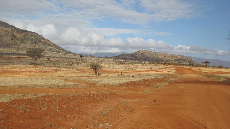 Tsavo Steppe - Pipeline Road, Anfang September 2015