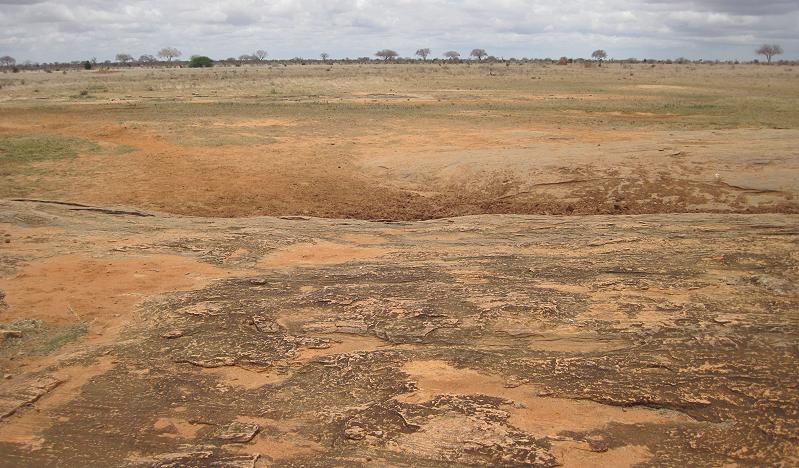 Buchuma Wasserloch