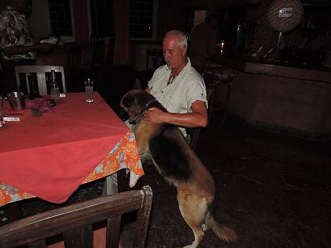 Boko Boko Guesthouse and Porini Restaurant - Kikambala