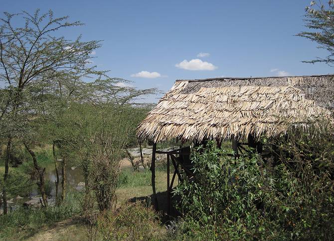 Crocodile Camp, Masai Mara