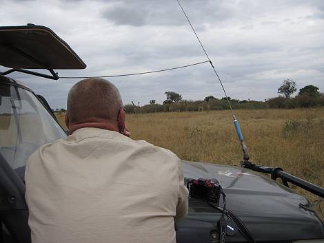 Masai Mara, Giraffen