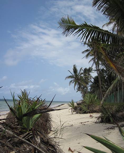 Kikambala Beach