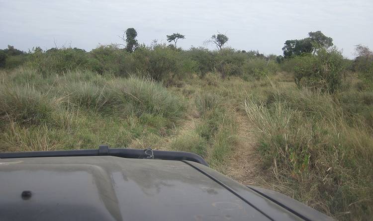 Masai Mara, Buschfrühstück