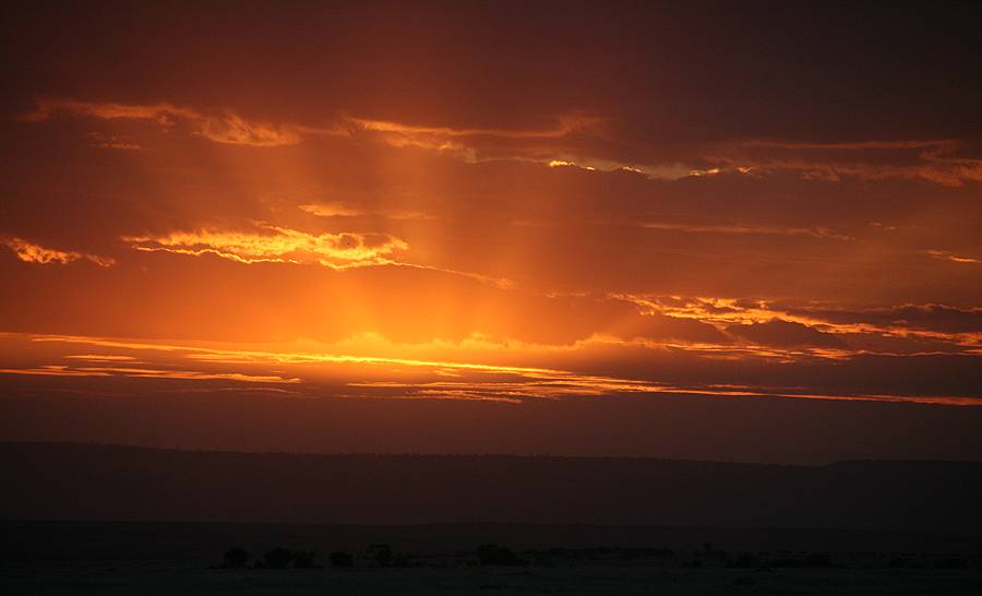 Masai Mara